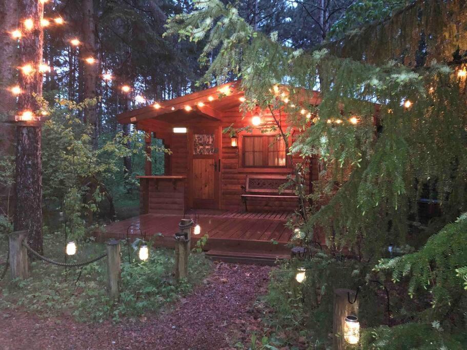 Fancy Fireflies Cabin เฮย์วาร์ด ภายนอก รูปภาพ