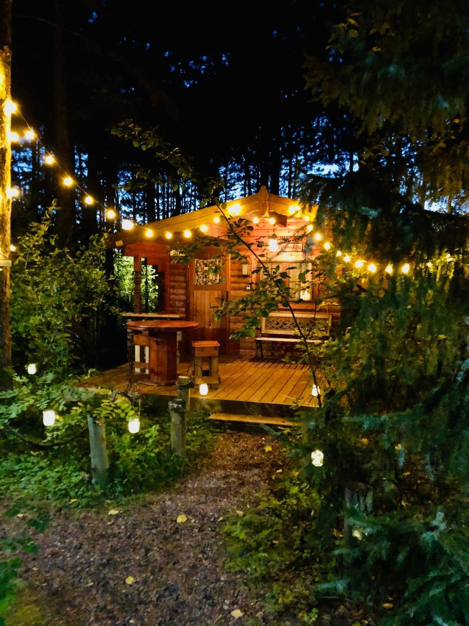 Fancy Fireflies Cabin เฮย์วาร์ด ภายนอก รูปภาพ